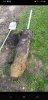 Screenshot_20200822-180647_Facebook.jpg