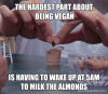 VEGAN.png