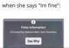 fine.jpg