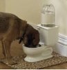 dog bowl.jpg