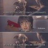 FB_IMG_1598483961835.jpeg