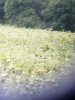 20200816_190447.jpg