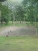 20200823_152450.jpg