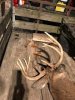 Mike 10 pt 111019.jpg