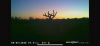 C20984DF-A1D2-4068-92A7-ED03C7B67943.png