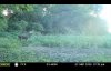 8B6C71DD-75A4-4780-BBEF-1CF20D465A58.jpeg