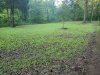 20200905_071435.jpg