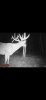 CBE84BD1-69C6-4F2A-9D4D-399B4BE6E54C.jpeg