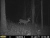 buck far back stand.JPG
