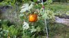 20200910_105529.jpg