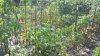 20200910_105314.jpg
