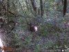 69BAA076-67EF-4B6F-A224-5CA3AF5A6460.jpeg
