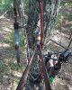 IMG_20200912_182323_749.jpg