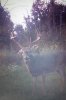 20200914_144816.jpg