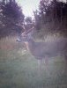 20200914_144757.jpg