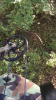 CEEFEFD7-0F02-4A5A-93FC-11D8B999A2CE.png
