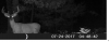 upload_2020-9-16_23-9-23.png