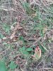 IMG_20200919_185243440.jpeg