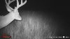 B4E46022-3D3D-4A51-838A-9F0287BB43B6.jpeg