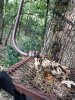 FB_IMG_1600617223830.jpeg