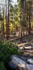 20200921_081418.jpeg