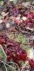 20200921_093148.jpeg