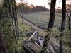 IMG_1349.jpg