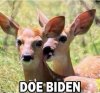 FB_IMG_1600820353232.jpeg