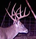 TexasBowHunter