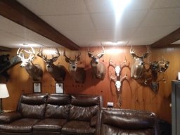 Pa antler addiction