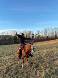 HorseWalker
