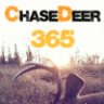 ChaseDeer365