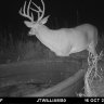 Herndon_bowhunter