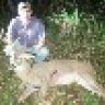 big buck 12