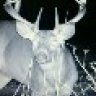 psedeerslayer