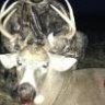 ILbowhuntr