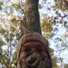 bowhunterhalon327