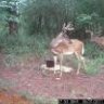Outdooradventures44