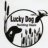Colorado Luckydog