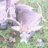 johnboydeerslayer
