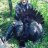 Bowhunter!77