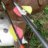 wvbowhunter