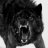 BlackWolf89